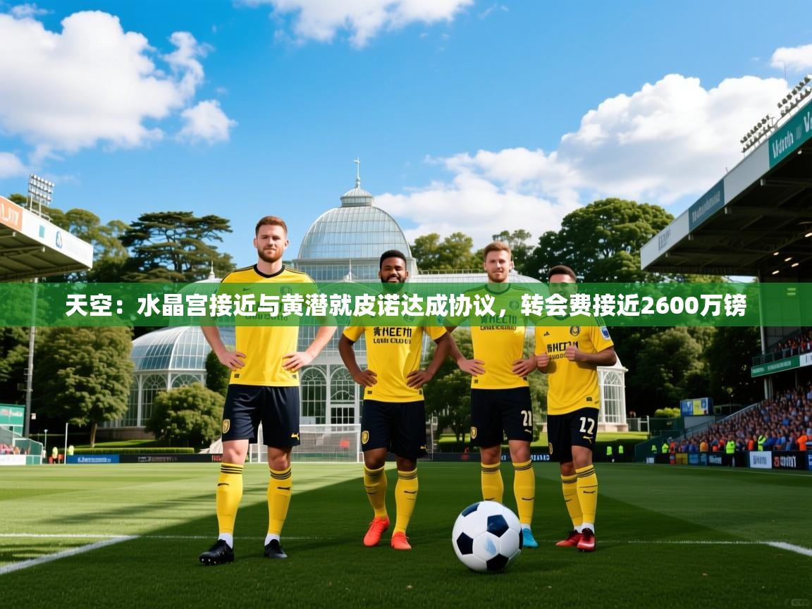 2025爱游戏体育入口天空：水晶宫接近与黄潜就皮诺达成协议，转会费接近2600万镑  第2张
