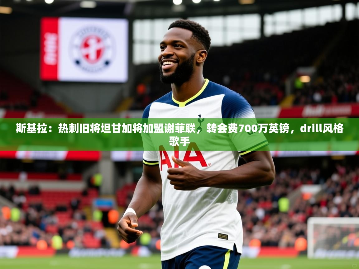 2025爱游戏体育在线直播斯基拉：热刺旧将坦甘加将加盟谢菲联，转会费700万英镑，drill风格歌手  第1张