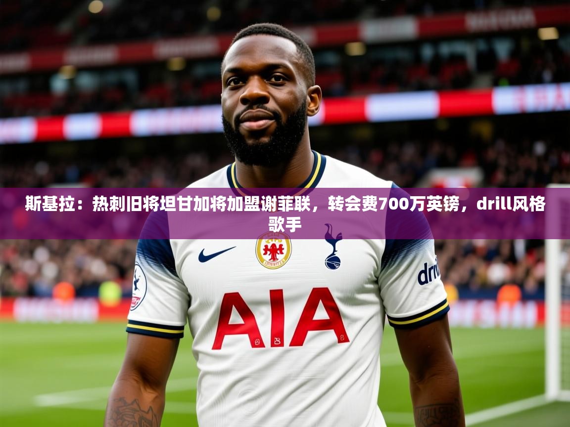 2025爱游戏体育在线直播斯基拉：热刺旧将坦甘加将加盟谢菲联，转会费700万英镑，drill风格歌手  第3张
