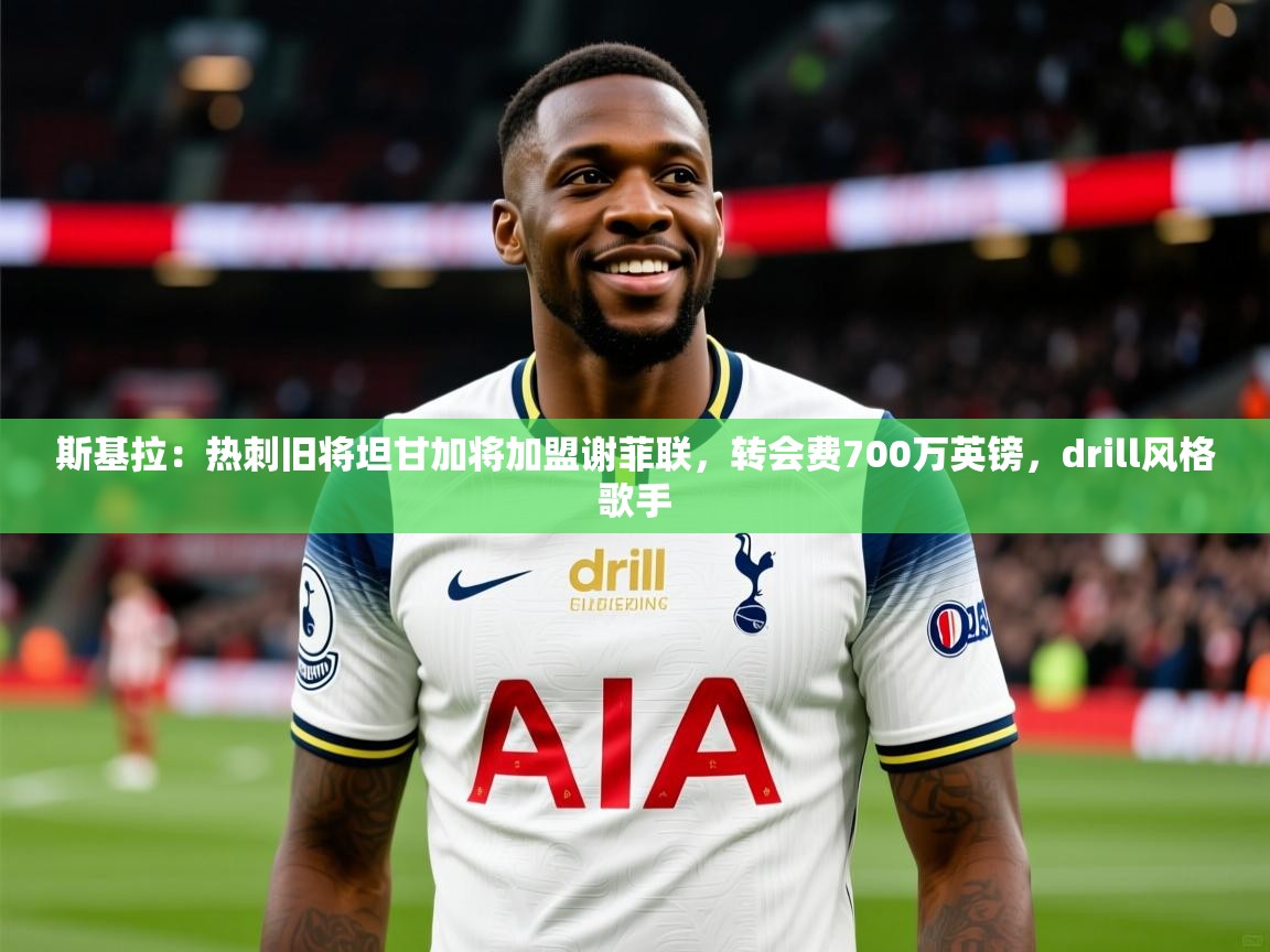 2025爱游戏体育在线直播斯基拉：热刺旧将坦甘加将加盟谢菲联，转会费700万英镑，drill风格歌手  第4张