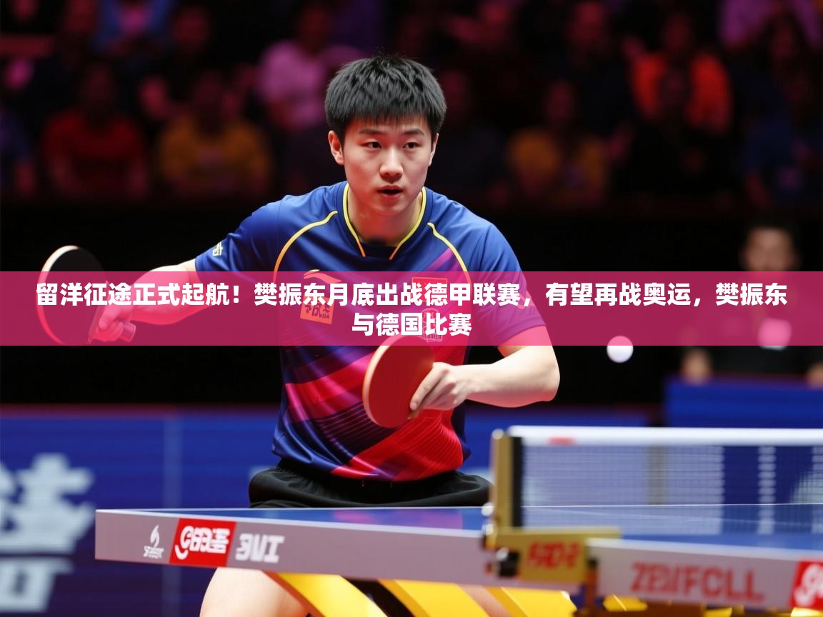 2025爱游戏体育在线注册留洋征途正式起航！樊振东月底出战德甲联赛，有望再战奥运，樊振东与德国比赛  第4张