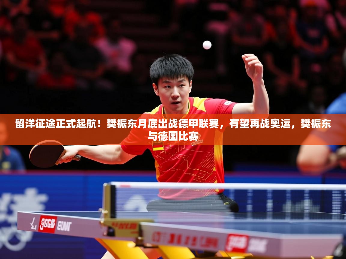 2025爱游戏体育在线注册留洋征途正式起航！樊振东月底出战德甲联赛，有望再战奥运，樊振东与德国比赛  第3张